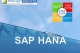 SAP HANA | SAP HANA SERVICES| 